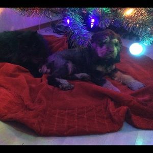 Meet your Posher, Elaine